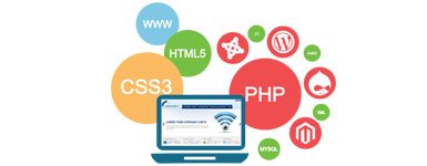 Web Development